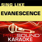 Sing Like Evanescence (Karaoke Performance Tracks), ProSound Karaoke Band