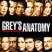Grey's Anatomy, Season 4 artwork