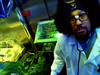 Dr. Greenthumb, Cypress Hill