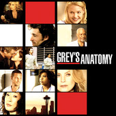 Grey's Anatomy, Season 6 artwork