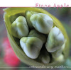 Parting Gift (Live) - Single, Fiona Apple