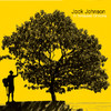 In Between Dreams (Bonus Track Version), Jack Johnson