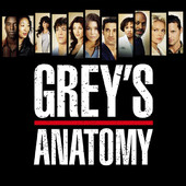 Grey's Anatomy, Season 3 artwork