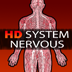 HD System Nervous