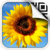 Scalado PhotoBeamer by Scalado AB Scalado PhotoBeamer by Scalado AB icon