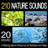 210 Nature Sounds - 20 Hours of Relaxing Natural Ambiences for Meditation and Sleep, Dr. Sound Effects