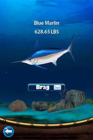 Flick Fishing