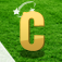 download app