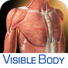 3D Muscular Premium Anatomy for iPhone 4/4Sアートワーク