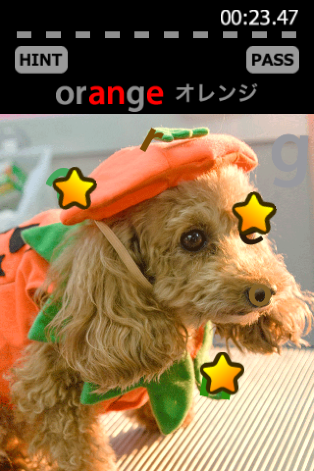 Picture Puzzle+