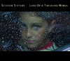 Land of a Thousand Words (Junkie XL Mix) - Single, Scissor Sisters
