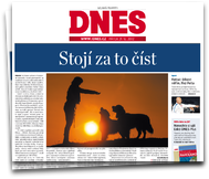 MF DNES