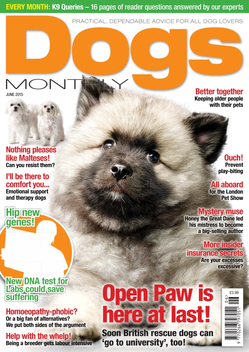 Dogs Monthly magazine - expert vet, behaviour and training advice for dog owners LOGO-APP點子