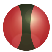 Pool Physic