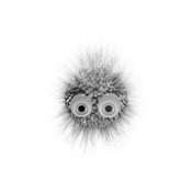 Splode