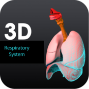 3D Respiratory System