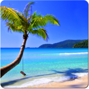 Beach Break - HD