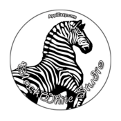 BlackWhite Studio