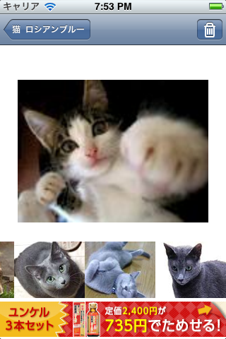 猫ラブ!