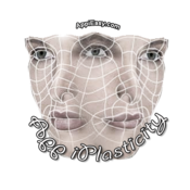 iPlasticity