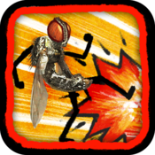 Fly Fu Pro
