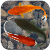 Beautiful Fish Screensaver for Mac icon