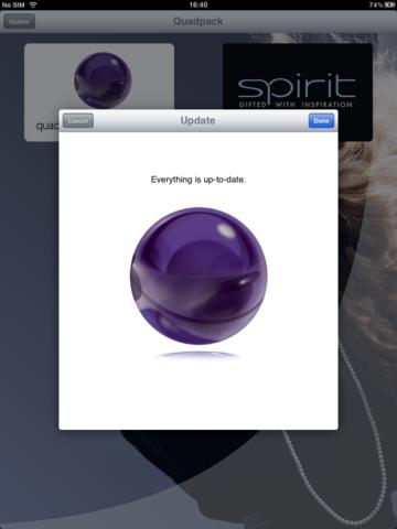 iPad Screenshot 5