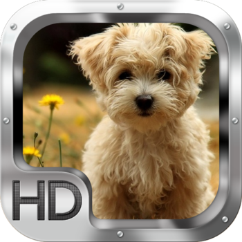 Dog Wallpapers HD 攝影 App LOGO-APP開箱王