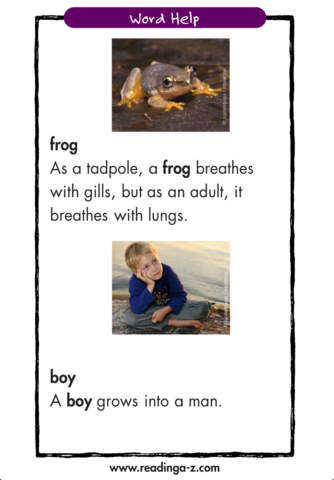 Frog is Hungry - LAZ Reader [Level D–first grade] screenshot 3