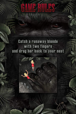 iPhone Screenshot 4