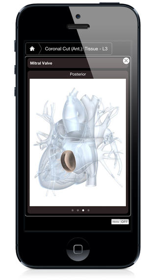 iPhone Screenshot 4
