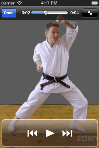 Shotokan Karate Kihon Kumite screenshot 2