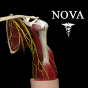Shoulder Pro III with Animations