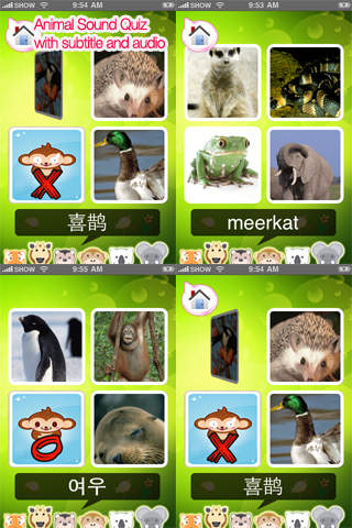 Animal Card 100+ HD screenshot 4