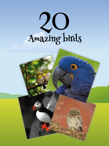 免費下載遊戲APP|Amazing Birds: Puzzle games for everybody app開箱文|APP開箱王