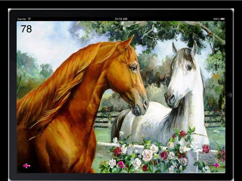 Horse Wallpaperz HD screenshot 3