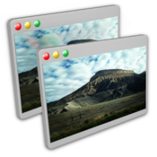 Duplicate Windows