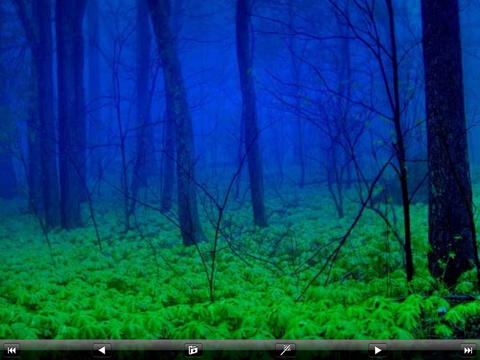Forest Lovers screenshot 2