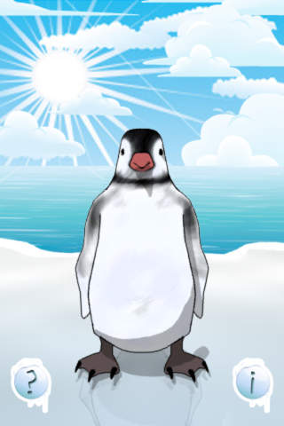 Jomo the talking baby penguin