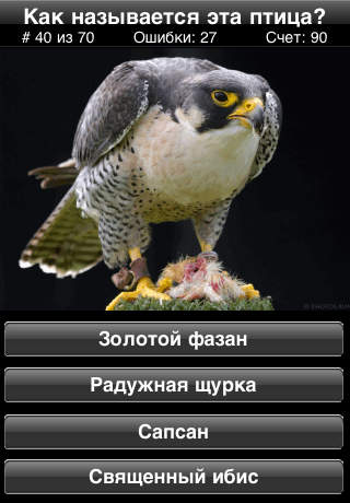 Birds Quiz screenshot 4