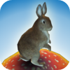 Jackrabbit Sunshine by Studio MFB, LLC Jackrabbit Sunshine by Studio MFB, LLC icon
