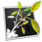 MindNode Pro