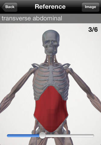 basic anatomy for all [muscles] screenshot 4