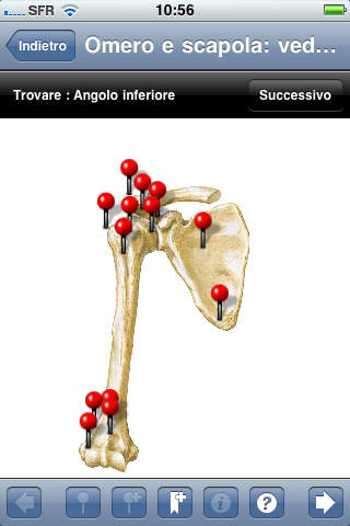 iPhone Screenshot 3