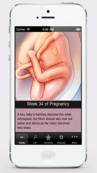 【免費醫療App】Pregnancy Tracker+ (Lite)-APP點子