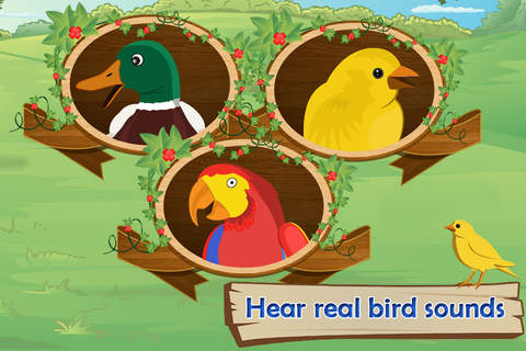 Count It Easy - Birds screenshot 4