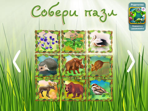 Лесной калейдоскоп от Indigo Kids Лесной калейдоскоп от Indigo Kids