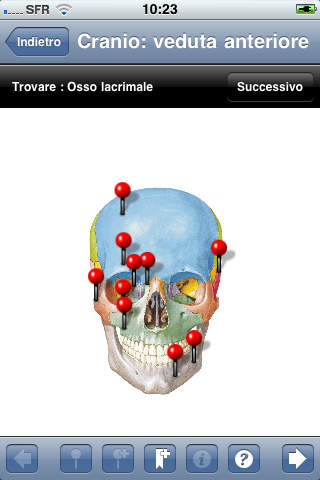 iPhone Screenshot 3