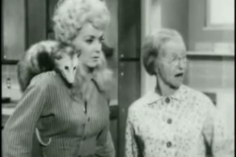 appMovie "The Beverly Hillbillies" The Clampetts Are Overdrawn (1963) screenshot 3