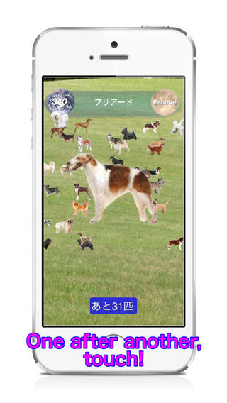 【免費遊戲App】Dogs Walk Bowwow Touch :: One Touch Simple Game with 109 Dogs-APP點子